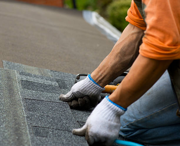 Best Metal Roofing Contractor  in Clinton, WI